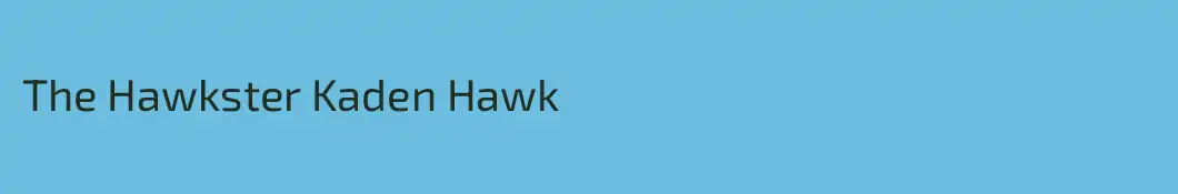 The Hawkster Kaden Hawk 